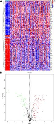 Role of anoikis-related gene PLK1 in kidney renal papillary cell carcinoma: a bioinformatics analysis and preliminary verification on promoting proliferation and migration